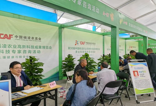 第三十屆中國楊凌農業高新科技成果博覽會開幕，揭秘現代農業技術咨詢新趨勢